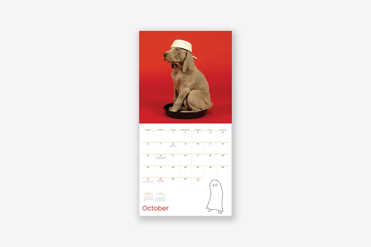 William Wegman Puppies 2019 Wall Calendar (Wall) ABRAMS