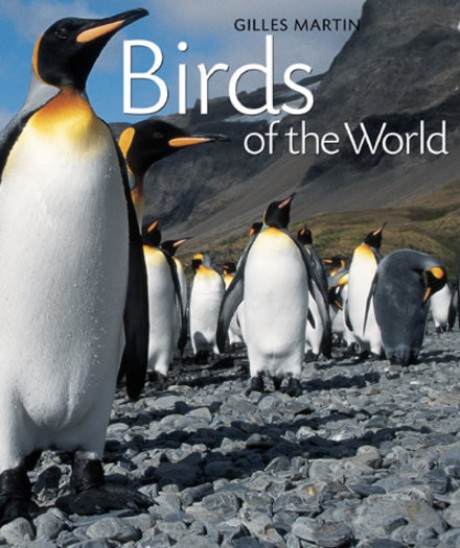 Cover image for Birds of the World 