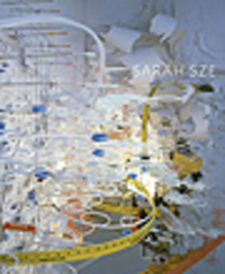 Cover image for Sarah Sze 