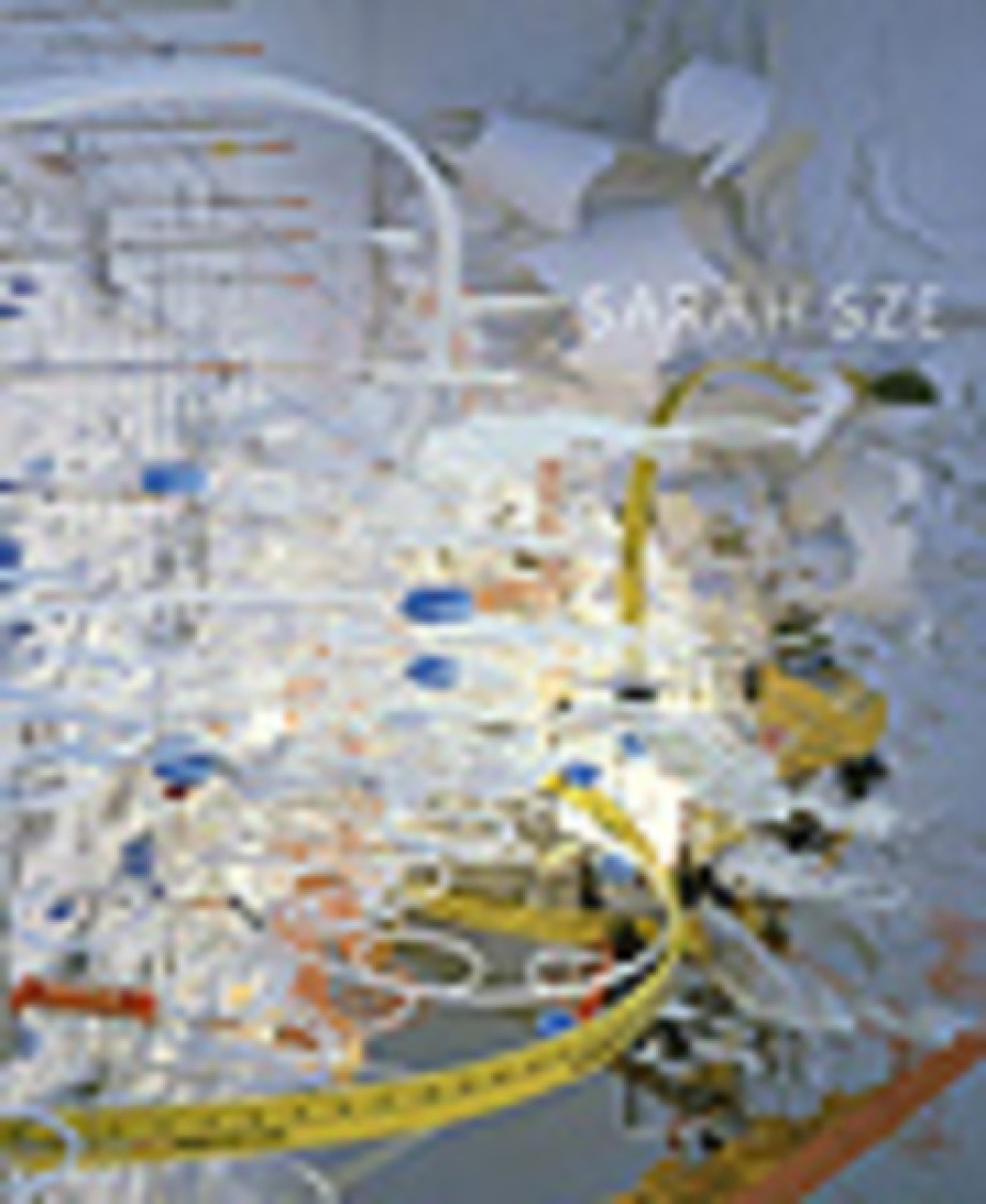 Sarah Sze 