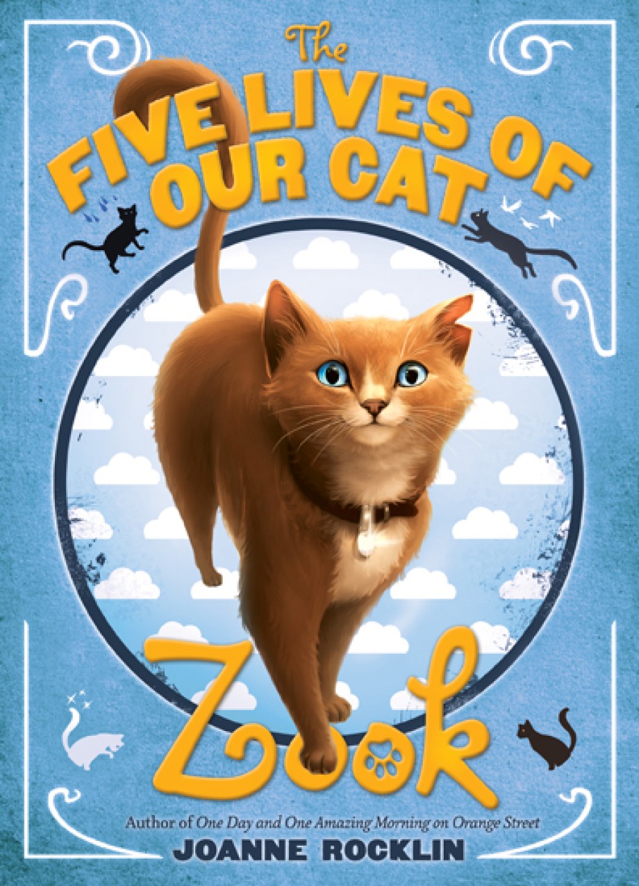 Five Lives of Our Cat Zook 