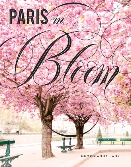 Cover image for Paris in Bloom 