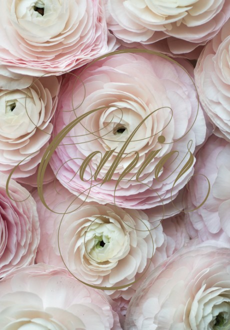 Cover image for Paris in Bloom Notebook (Ranunculus) 