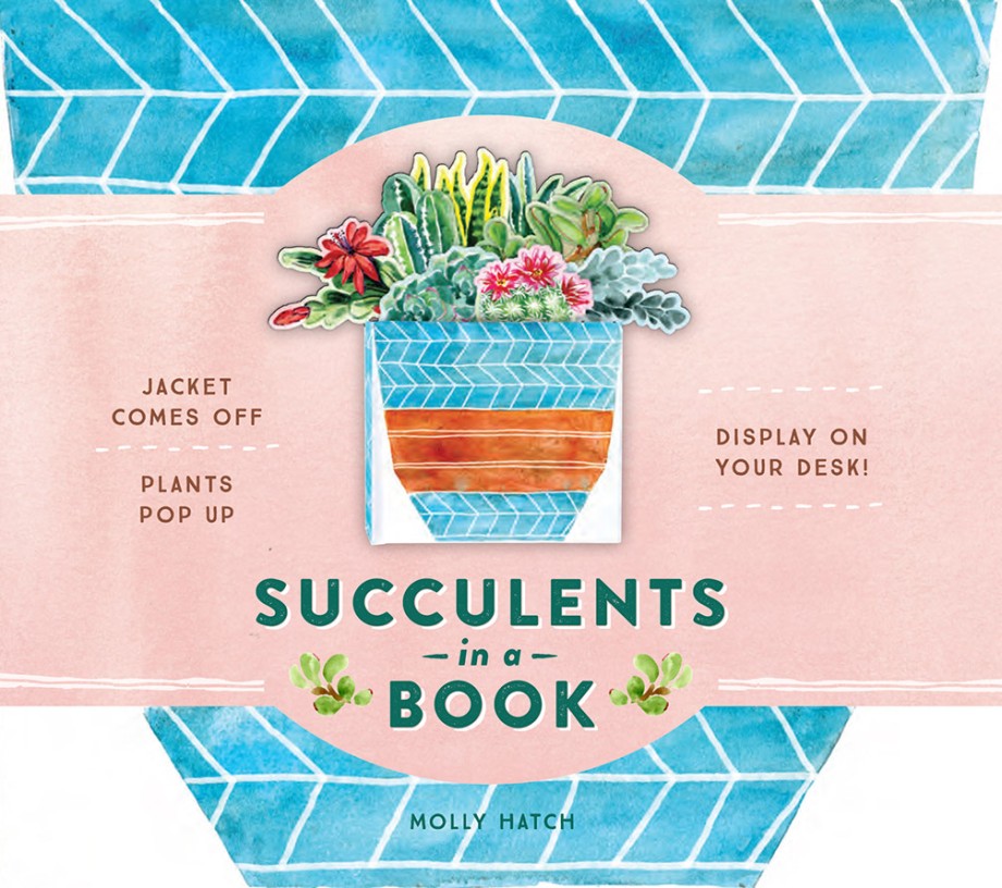 Succulents in a Book (UpLifting Editions) Jacket Comes Off. Plants Pop Up. Display on Your Desk!