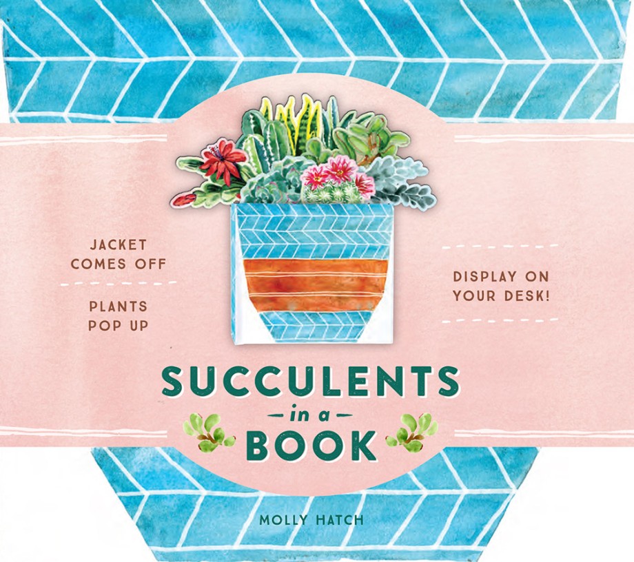 Cover for Succulents in a Book (UpLifting Editions) Jacket Comes Off. Plants Pop Up. Display on Your Desk!