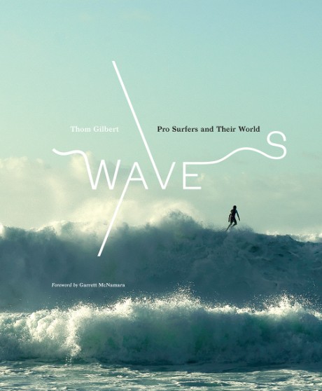 Cover image for Waves Pro Surfers and Their World