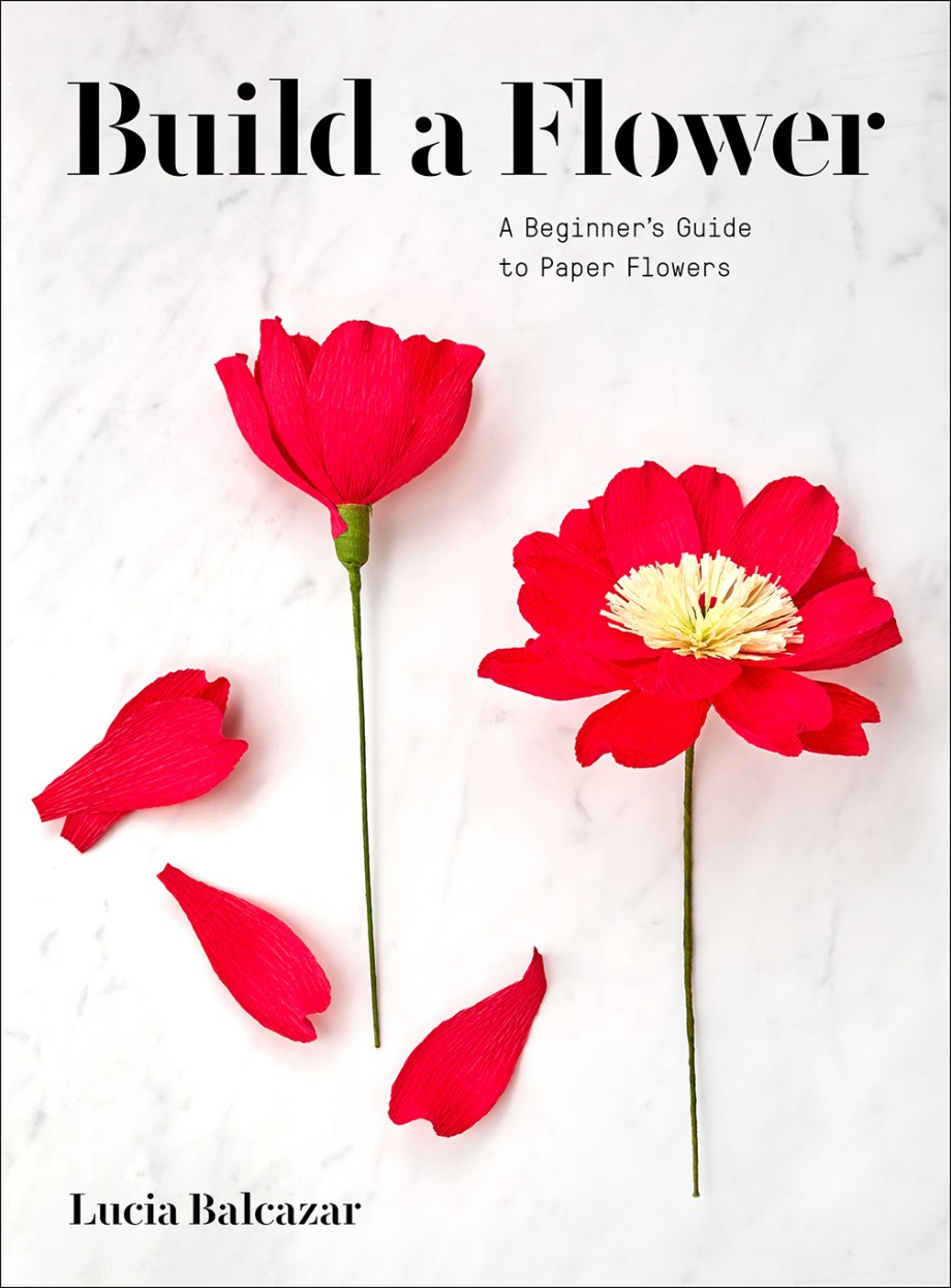 Cover for Build a Flower A Beginner’s Guide to Paper Flowers