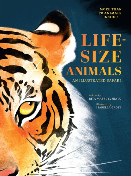 Cover image for Life-Size Animals An Illustrated Safari