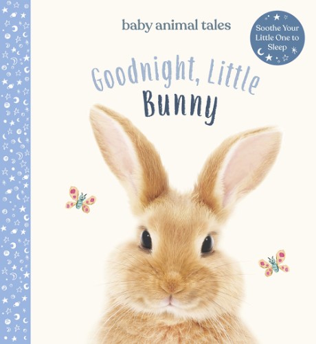 Cover image for Goodnight, Little Bunny 