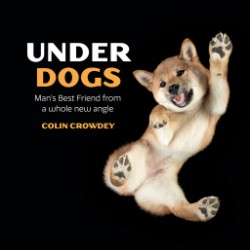 Under Dogs 