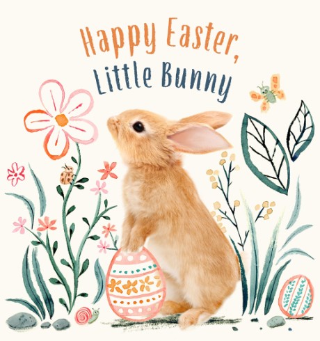 Cover image for Happy Easter, Little Bunny A Board Book