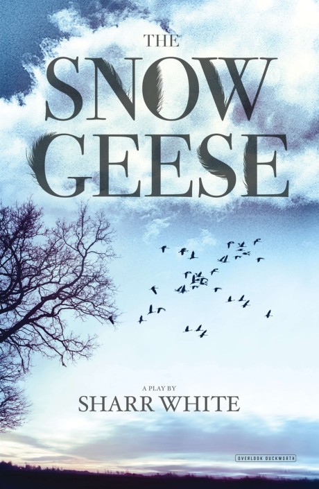 Cover image for Snow Geese A Play