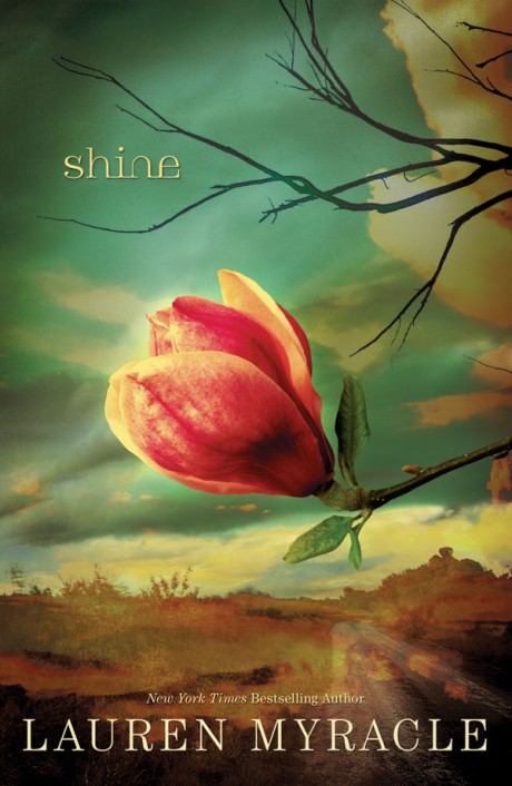 Cover image for Shine 