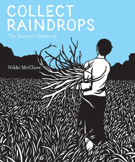 Cover image for Collect Raindrops (Reissue) The Seasons Gathered