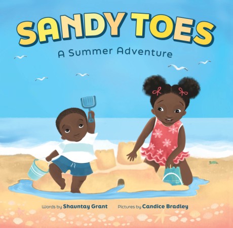 Cover image for Sandy Toes: A Summer Adventure (A Let's Play Outside! Book) 