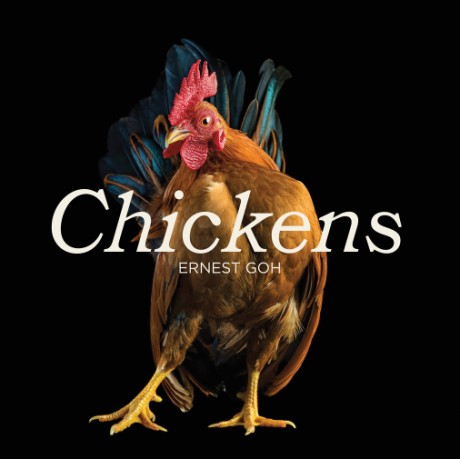 Cover image for Chickens 