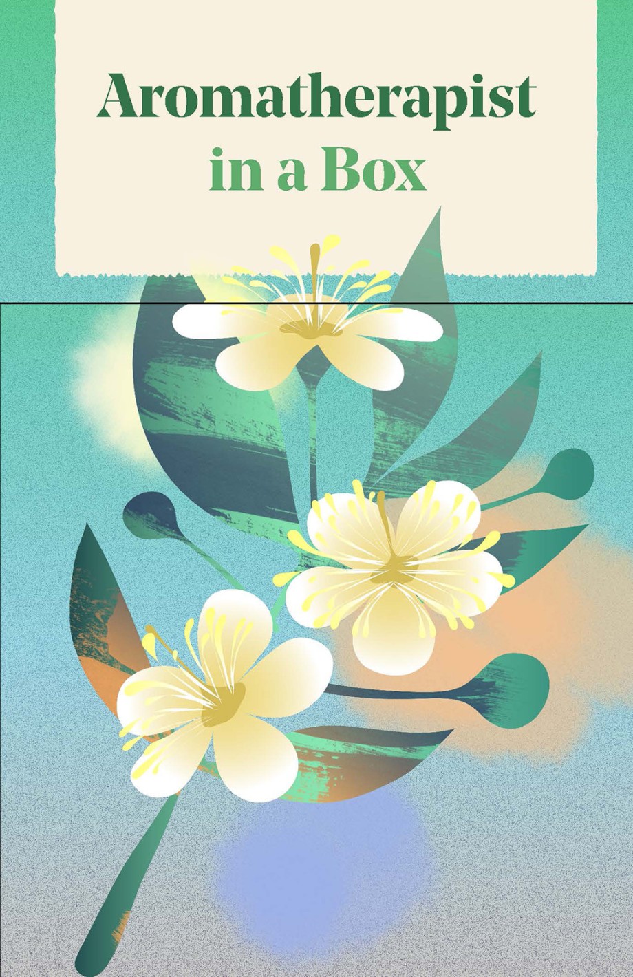 Aromatherapist in a Box A Card Set of Therapeutic Essential Oils