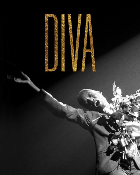 Cover image for Diva 