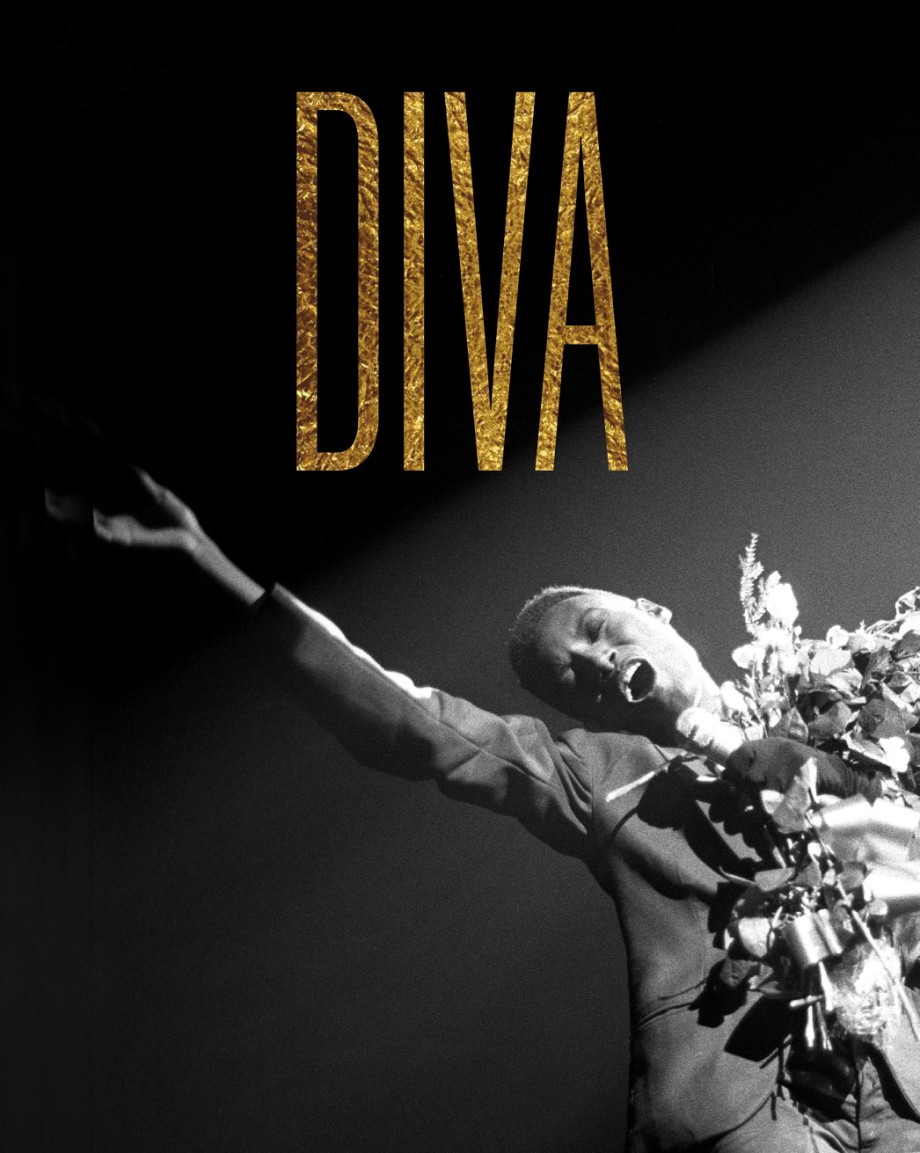 Diva An Illustrated Guide to the Glamorous Personalities of Prima Donnas