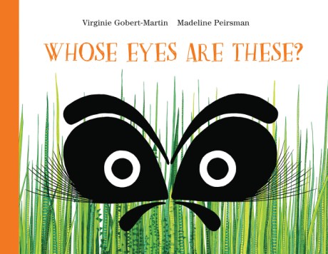 Cover image for Whose Eyes Are These? 