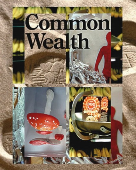 Cover image for Common Wealth 