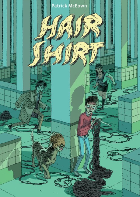 Cover image for Hair Shirt 