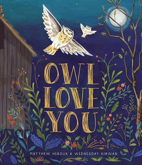 Cover image for Owl Love You A Picture Book