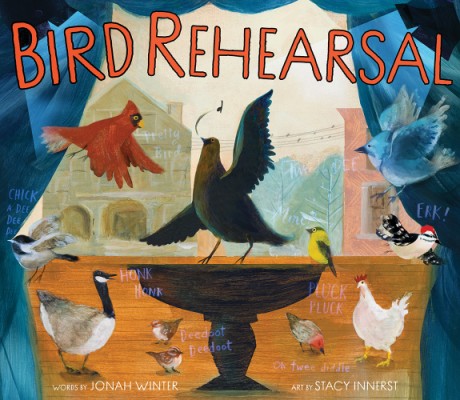 Cover image for Bird Rehearsal A Picture Book