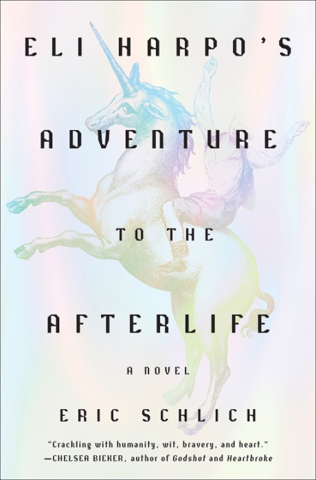 Cover image for Eli Harpo's Adventure to the Afterlife A Novel