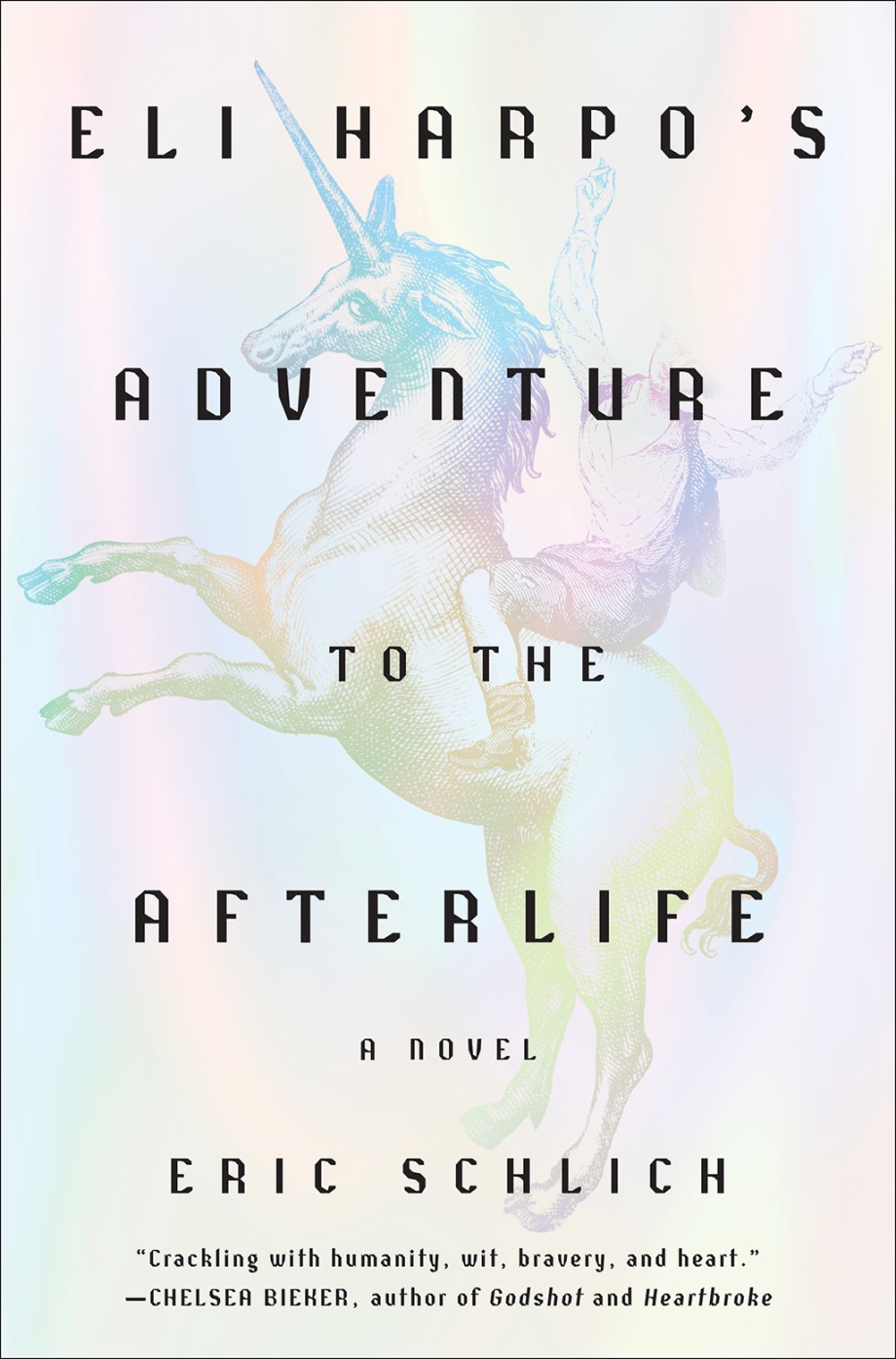 Eli Harpo's Adventure to the Afterlife A Novel