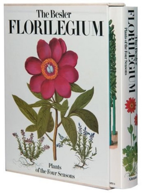 Cover image for Besler Florilegium 