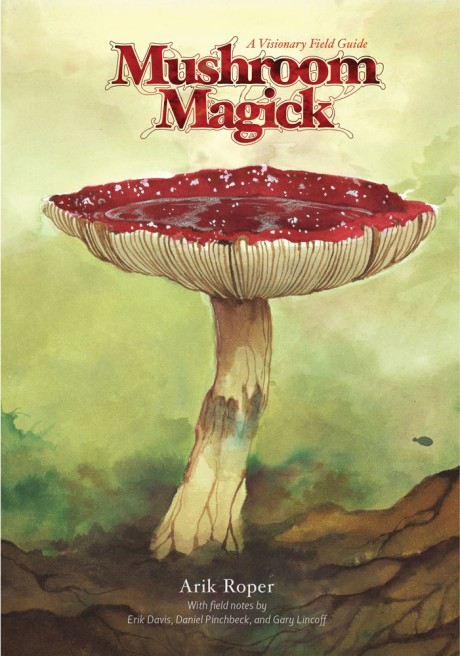 Cover image for Mushroom Magick A Visionary Field Guide