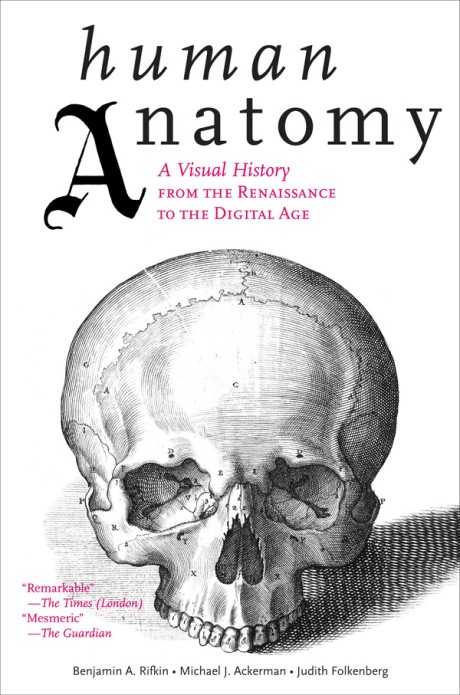 Cover image for Human Anatomy A Visual History from the Renaissance to the Digital Age