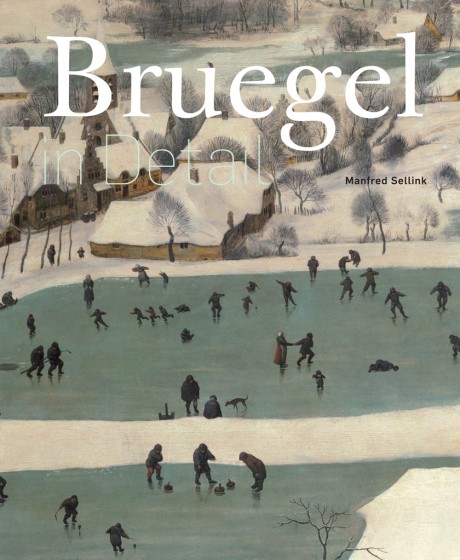 Cover image for Bruegel in Detail 