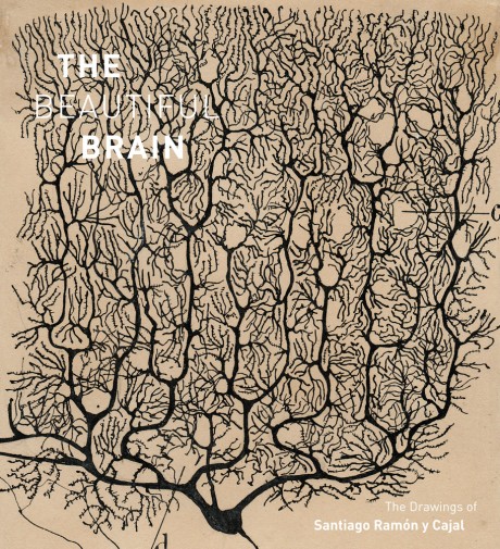 Cover image for Beautiful Brain The Drawings of Santiago Ramon y Cajal