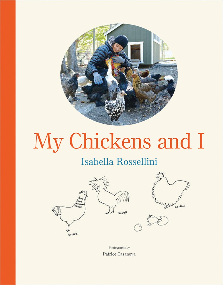 Cover for My Chickens and I