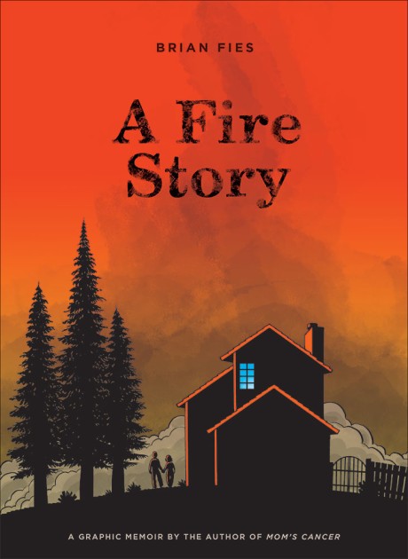 Cover image for Fire Story 