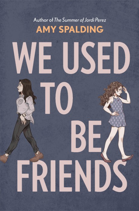 Cover image for We Used to Be Friends 