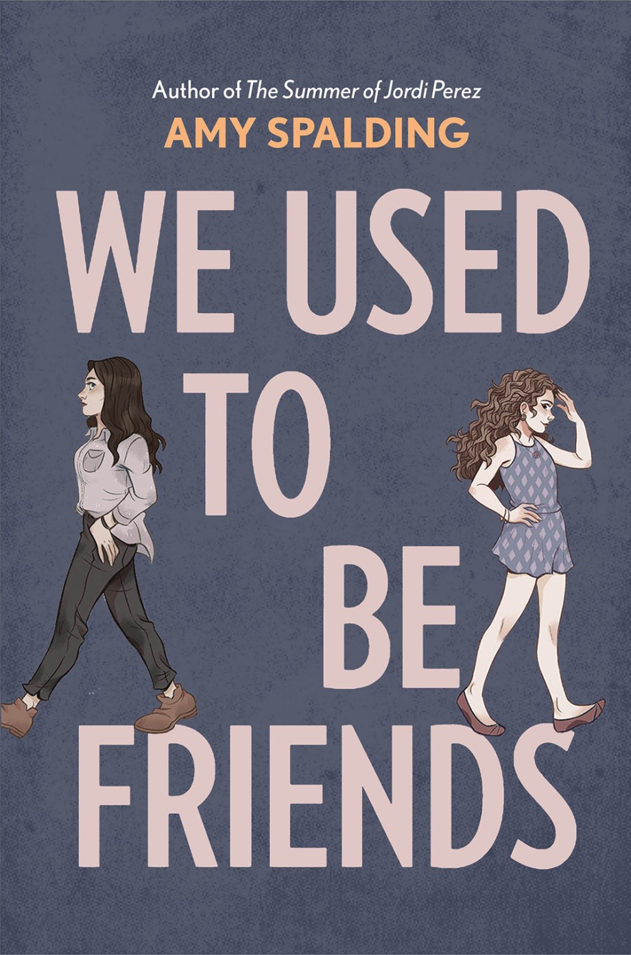 Cover for We Used to Be Friends A Novel