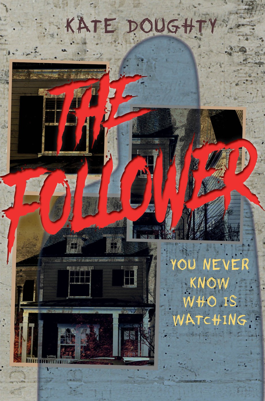 Cover for Follower A Thriller