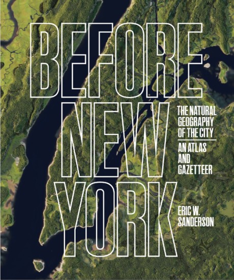 Cover image for Before New York The Natural Geography of the City: An Atlas and Gazetteer