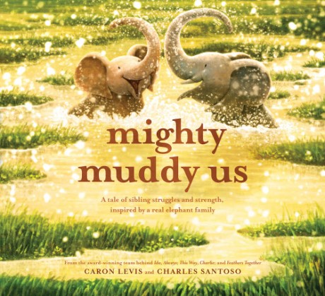 Cover image for Mighty Muddy Us 