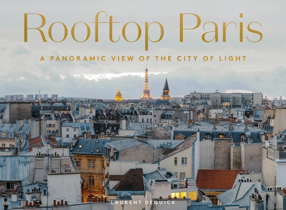 Rooftop Paris A Panoramic View of the City of Light