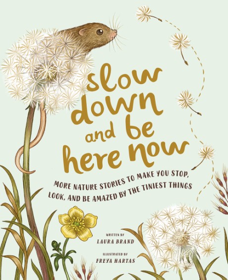 Cover image for Slow Down and Be Here Now More Nature Stories to Make You Stop, Look, and Be Amazed by the Tiniest Things