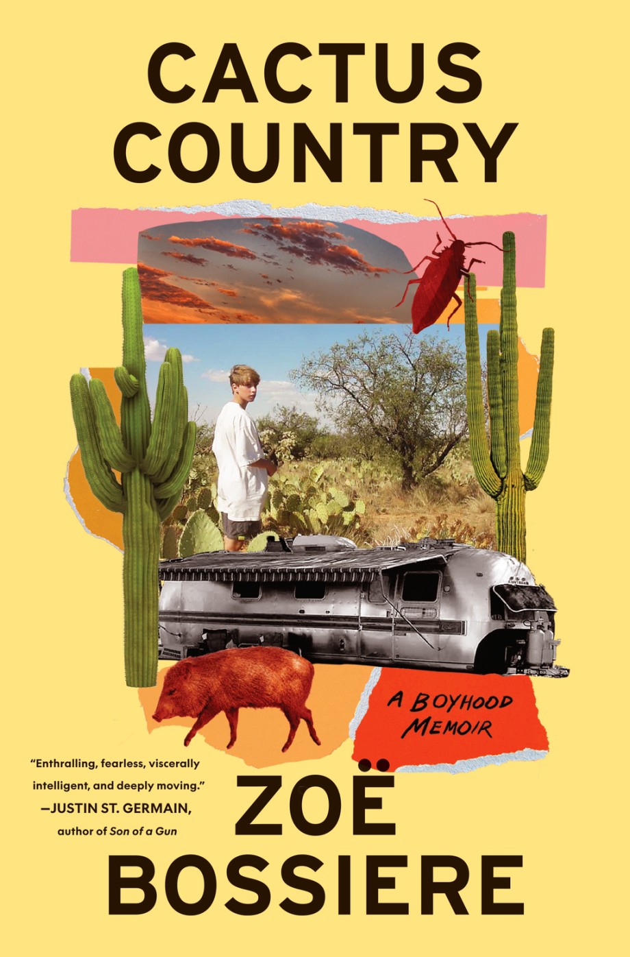 Cactus Country A Boyhood Memoir