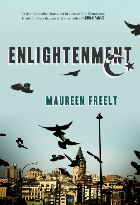 Cover image for Enlightenment A Novel