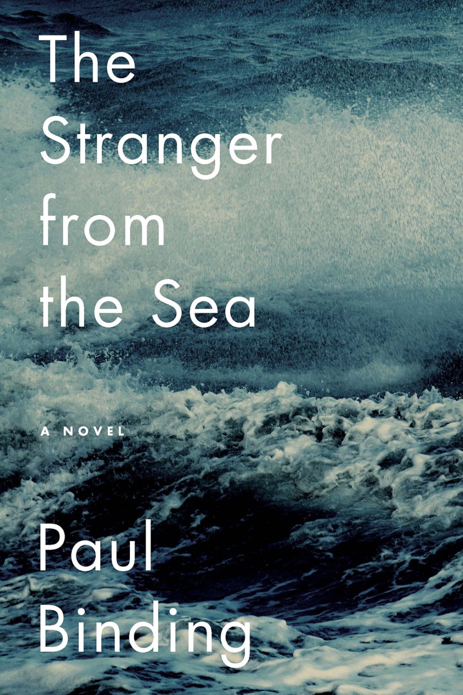 Cover for Stranger from the Sea A Novel