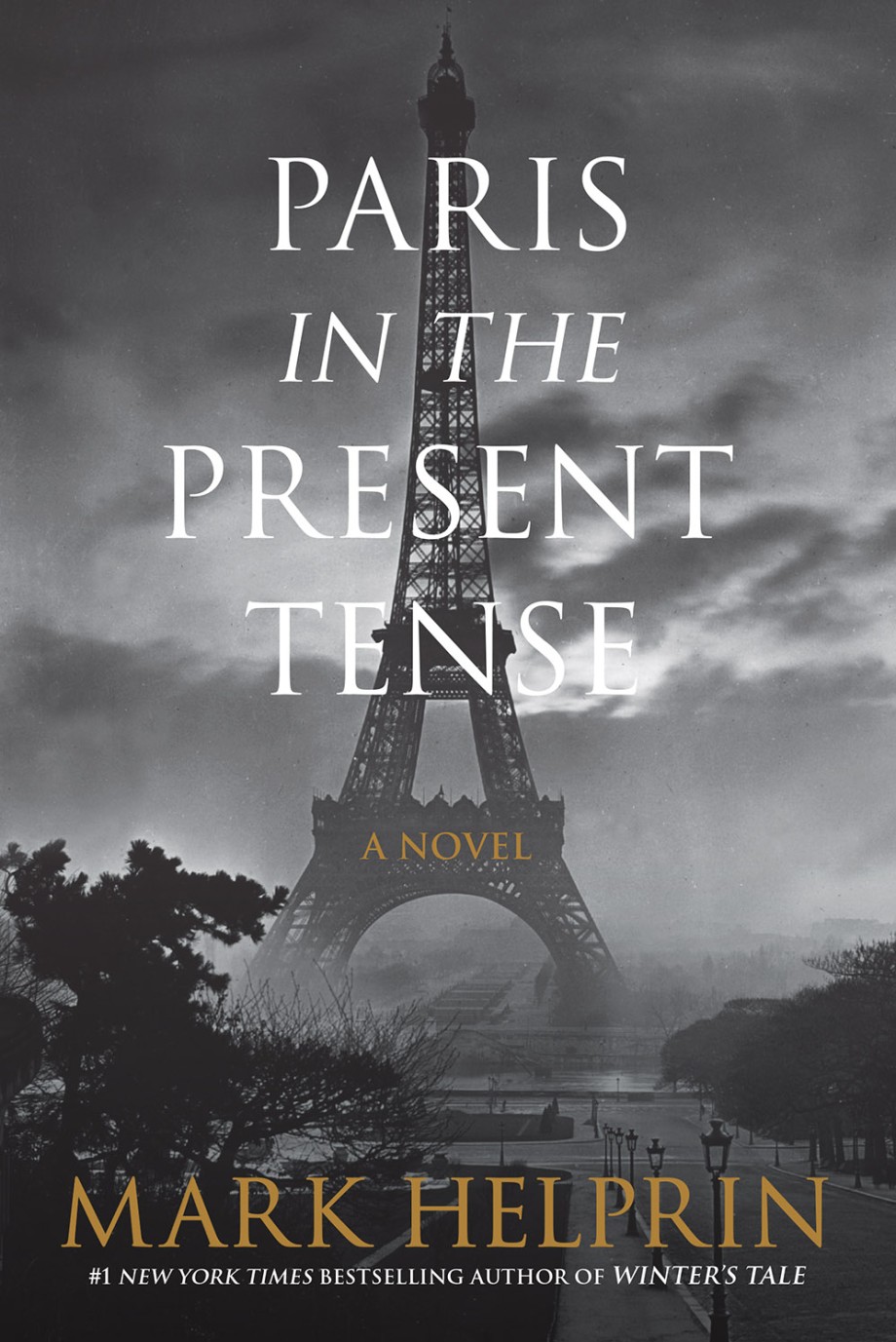 Paris in the Present Tense A Novel