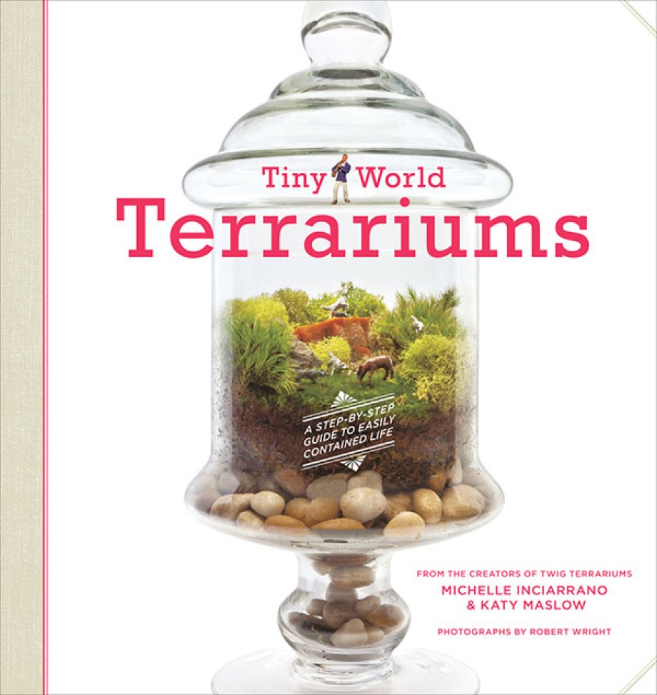 Tiny World Terrariums A Step-by-Step Guide to Easily Contained Life