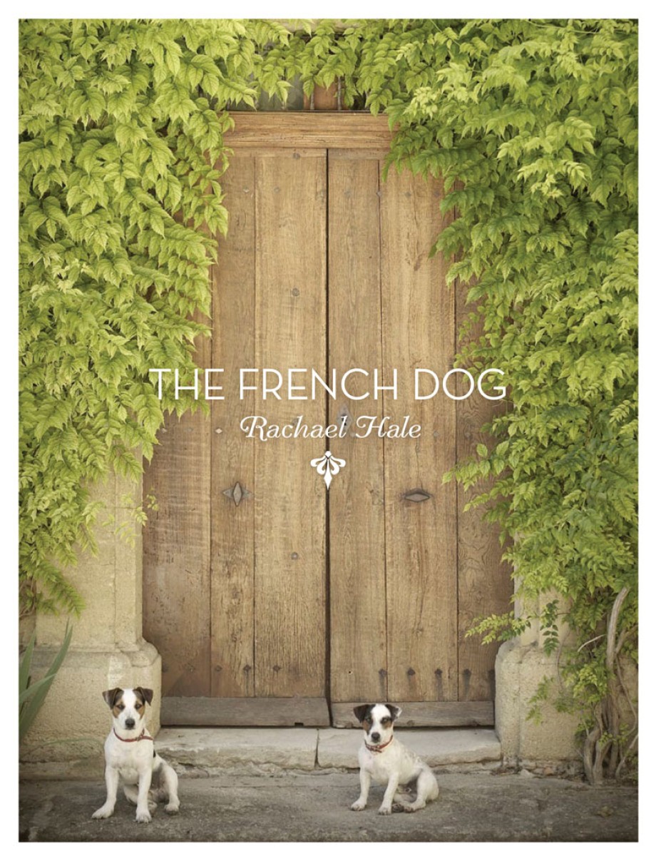 French Dog